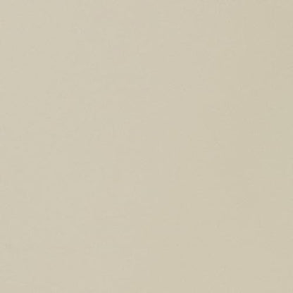 ニッタク スペシャリストスタート ラージボール用ラバー 画像7