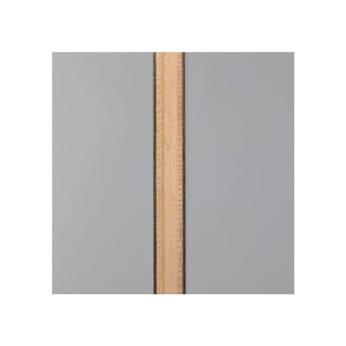 ニッタク 剛力スーパードライブ シェークラケット 画像3