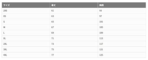 ヴィクタス エナジーゲームシャツ 612202 画像5