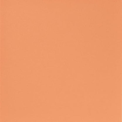 ニッタク ドナックル粒高-1 画像7