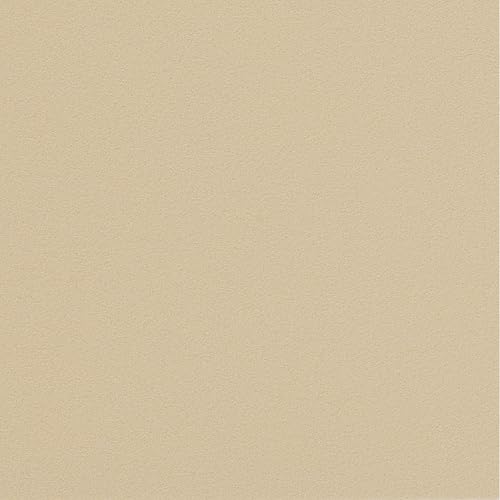 ニッタク ジェネクション V2C 裏ソフトラバー 画像5