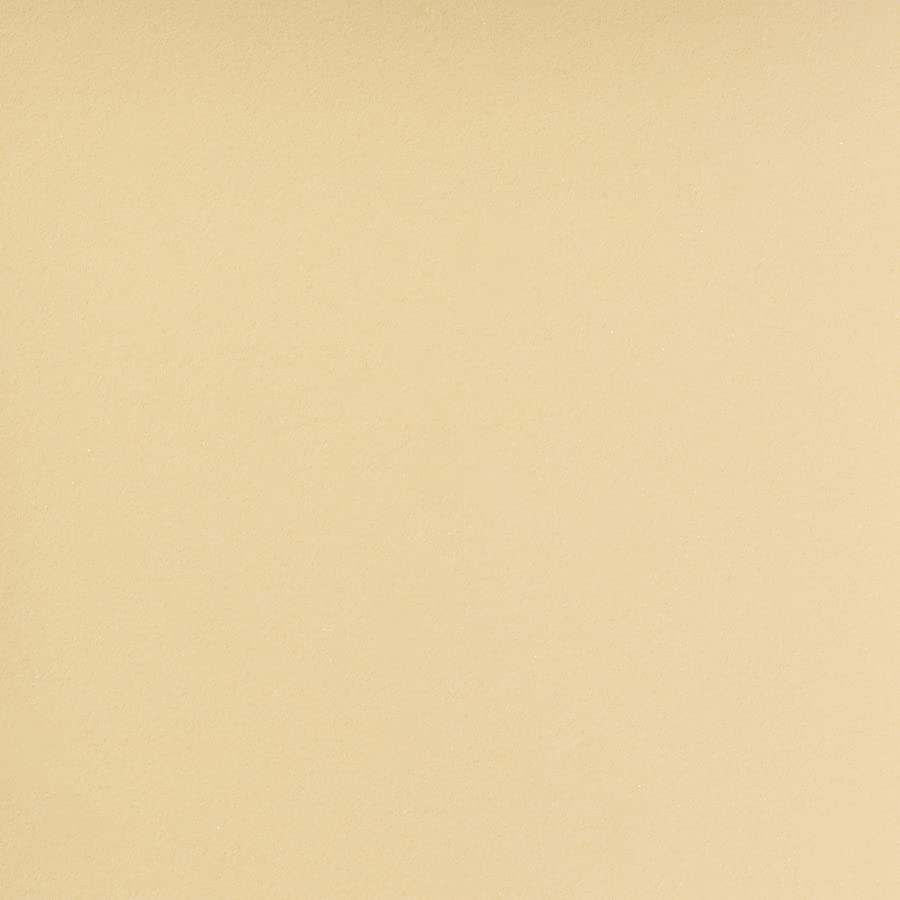 ニッタク ロイヤルプリンス ラージボール用ラバー 画像4