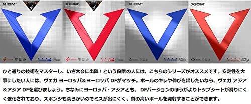 エクシオン ヴェガ アジア 裏ソフトラバー 画像4