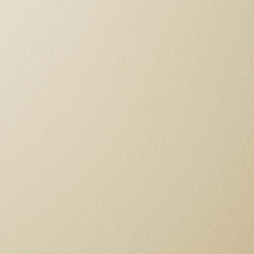 ニッタク ソニックAR 表ソフトラバー 画像6