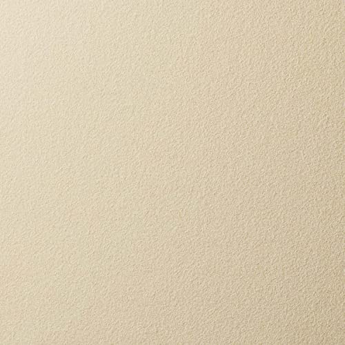 ニッタク インセプション 裏ソフトラバー 画像9