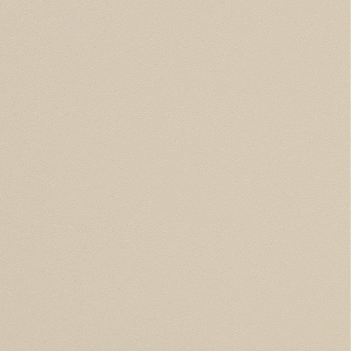 ニッタク プレセアラージ ラージボール用ラバー 画像6