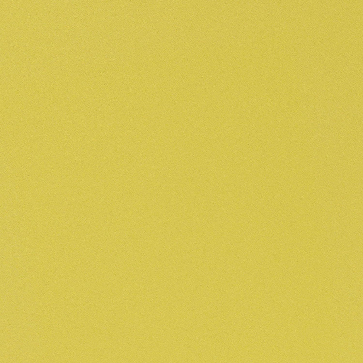 ニッタク グラストリー44 ラージボール用ラバー 画像6