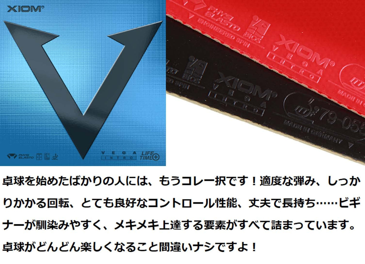 エクシオン ヴェガ イントロ 裏ソフトラバー 画像2