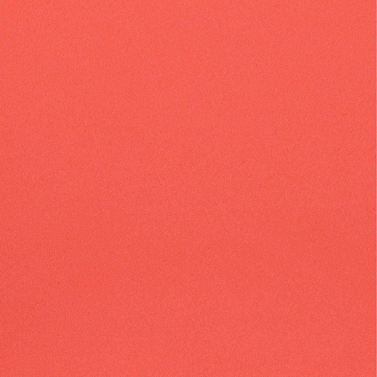 ニッタク レベスト 裏ソフトラバー 画像6