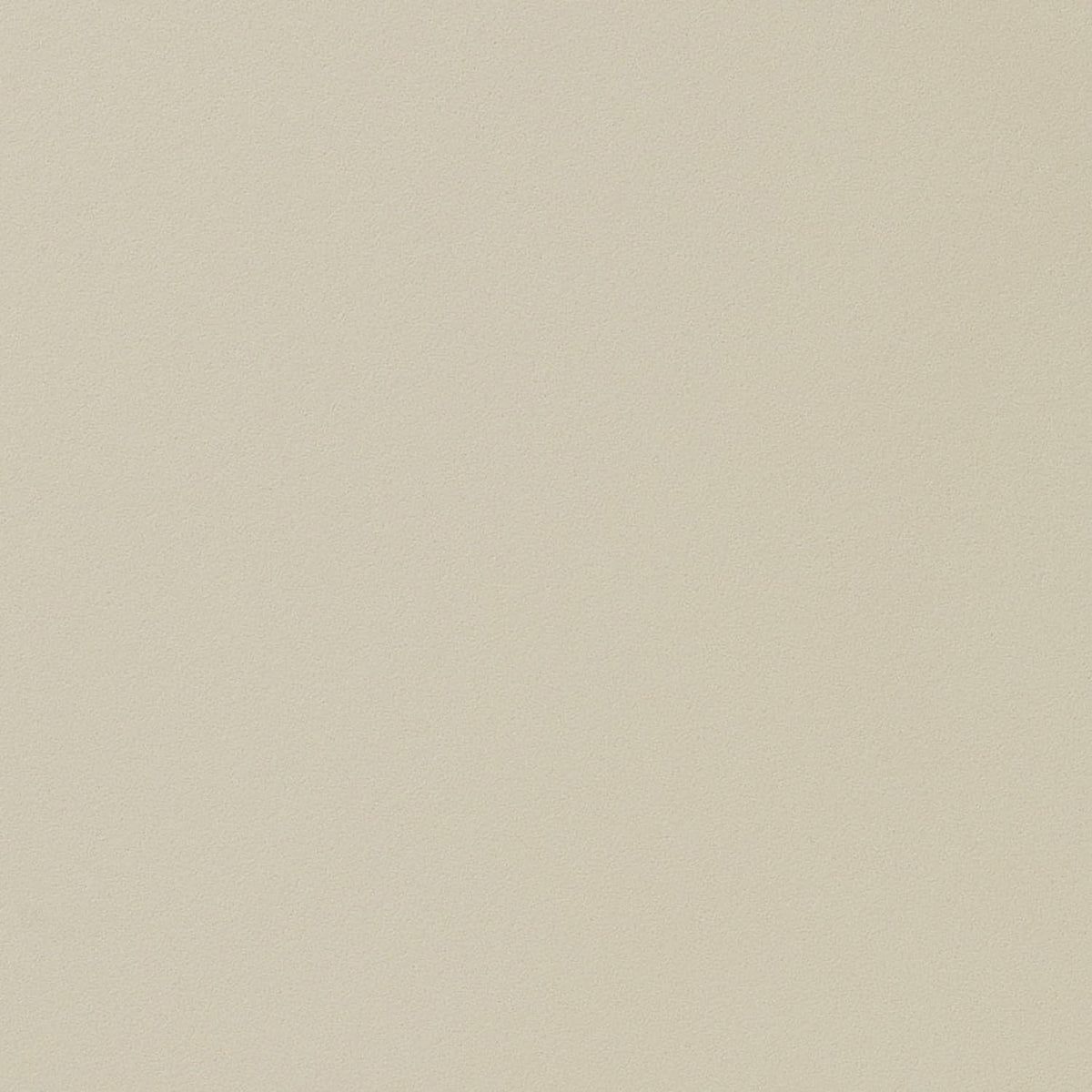ニッタク スペシャリストスタート ラージボール用ラバー 画像6