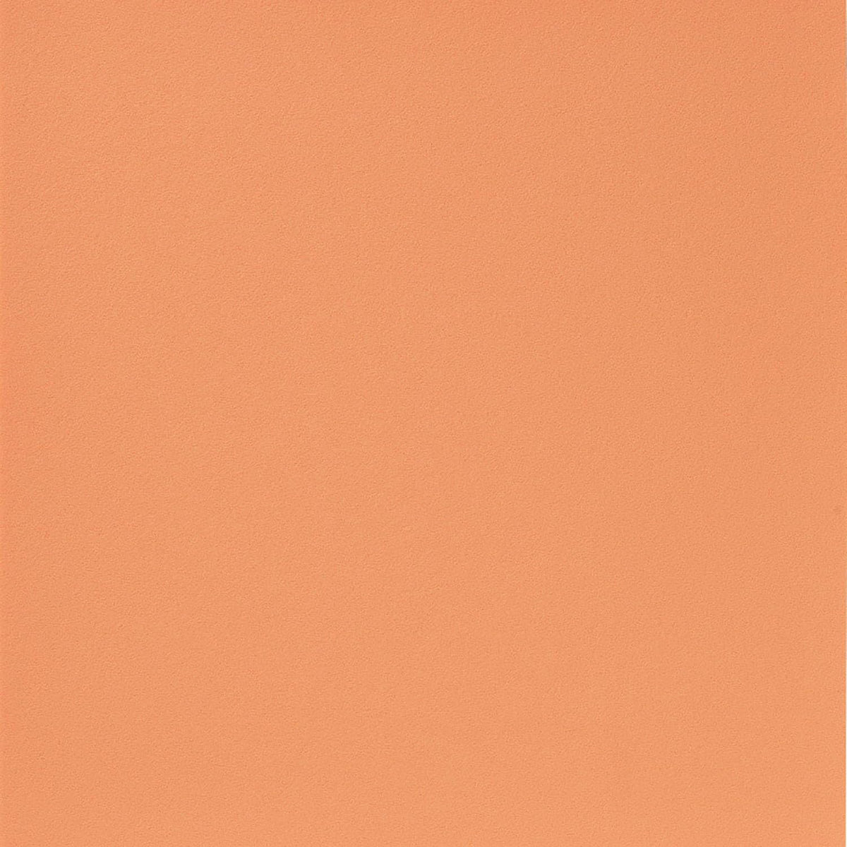 ニッタク ドナックル粒高-1 画像6