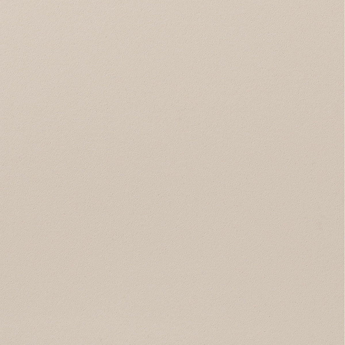 ニッタク ステラック 裏ソフトラバー 画像6