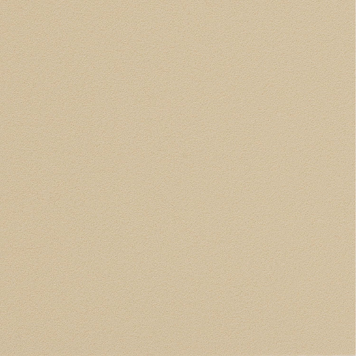 ニッタク ジェネクション V2C 裏ソフトラバー 画像4