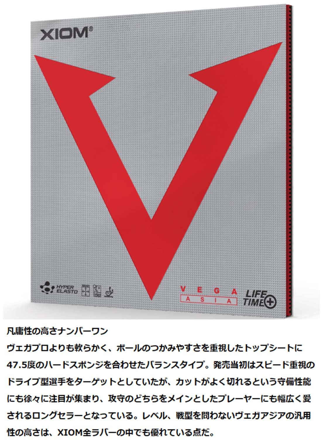 エクシオン ヴェガ アジア 裏ソフトラバー 画像3